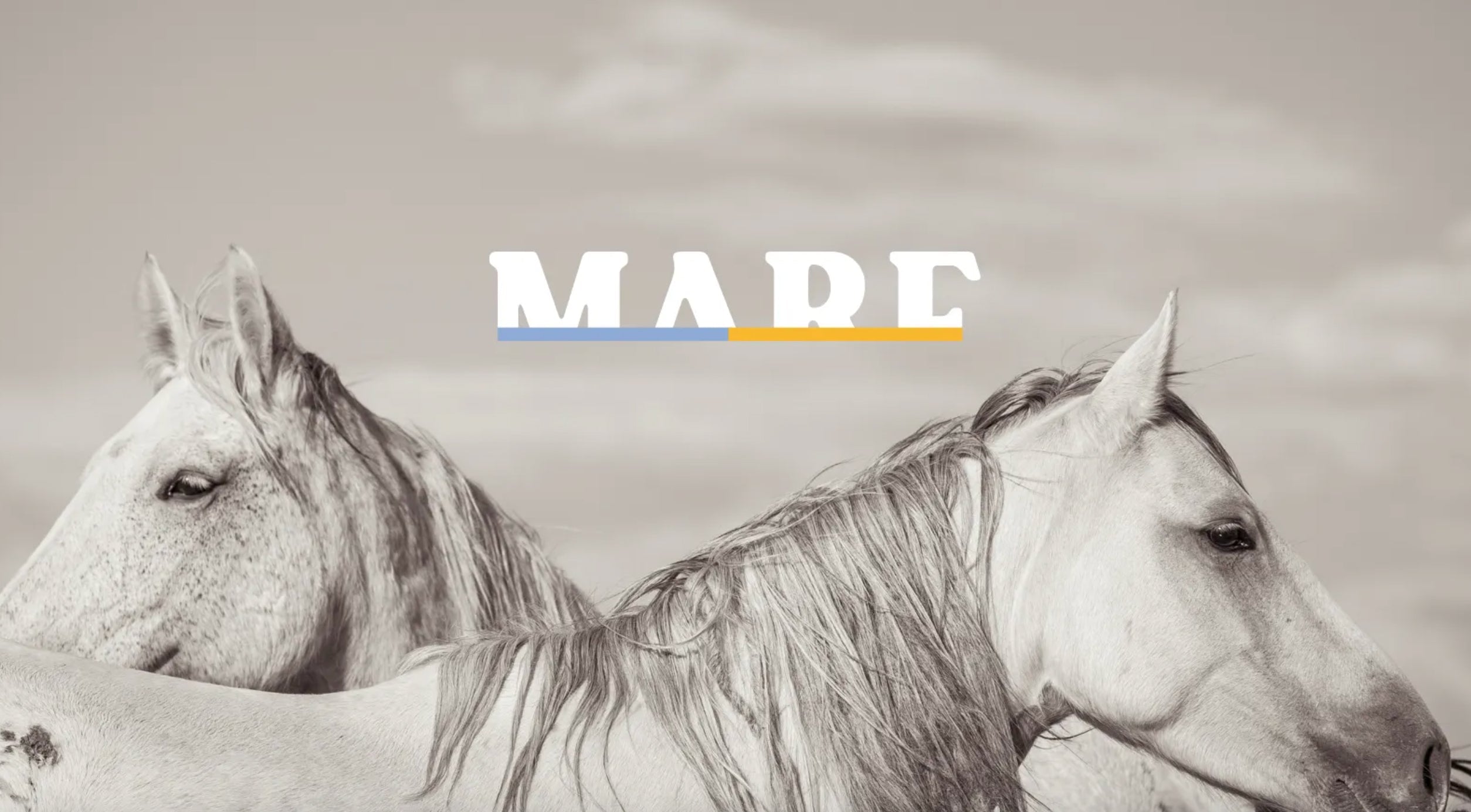 The MARE Project | CALLIDAE