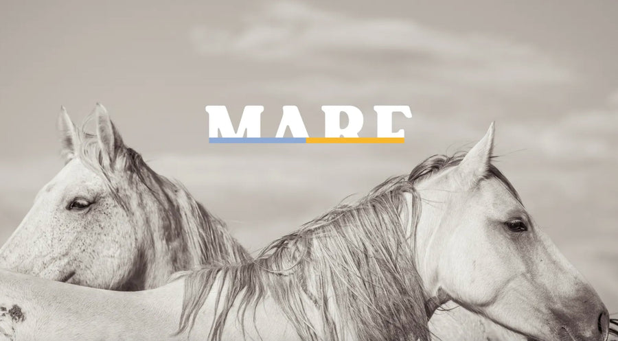 The MARE Project